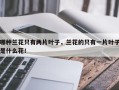 哪种兰花只有两片叶子，兰花的只有一片叶子是什么花！