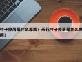 叶子掉落是什么原因？茶花叶子掉落是什么原因？