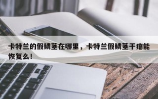 卡特兰的假鳞茎在哪里，卡特兰假鳞茎干瘪能恢复么！