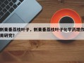 刺果番荔枝叶子，刺果番荔枝叶子化学药理作用研究？