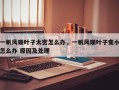 一帆风顺叶子太密怎么办，一帆风顺叶子变小怎么办 原因及处理