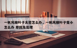 一帆风顺叶子太密怎么办，一帆风顺叶子变小怎么办 原因及处理