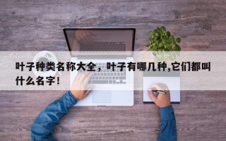 叶子种类名称大全，叶子有哪几种,它们都叫什么名字！