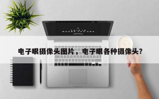 电子眼摄像头图片，电子眼各种摄像头？