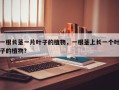 一根长茎一片叶子的植物，一根茎上长一个叶子的植物？