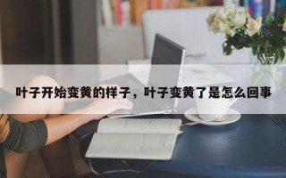 叶子开始变黄的样子，叶子变黄了是怎么回事