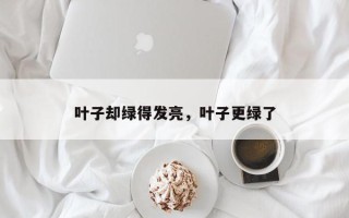 叶子却绿得发亮，叶子更绿了