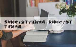 发财树叶子全干了还能活吗，发财树叶子都干了还能活吗