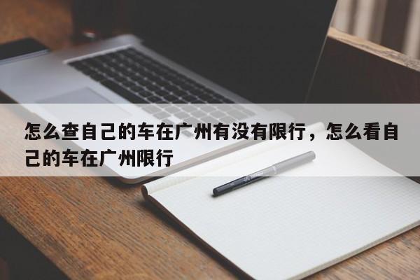 怎么查自己的车在广州有没有限行，怎么看自己的车在广州限行-第1张图片-我家生活百科