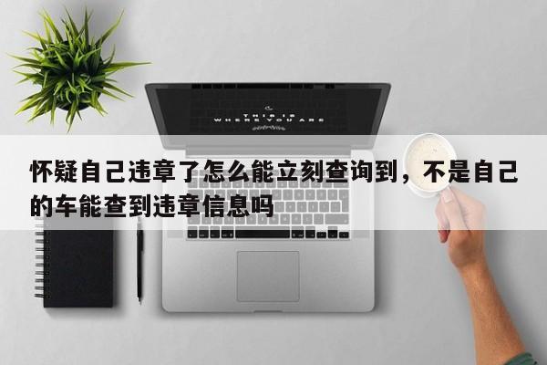 怀疑自己违章了怎么能立刻查询到，不是自己的车能查到违章信息吗-第1张图片-我家生活百科