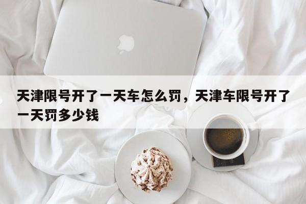 天津限号开了一天车怎么罚，天津车限号开了一天罚多少钱-第1张图片-我家生活百科