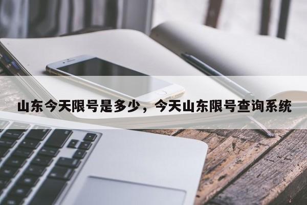 山东今天限号是多少，今天山东限号查询系统-第1张图片-我家生活百科