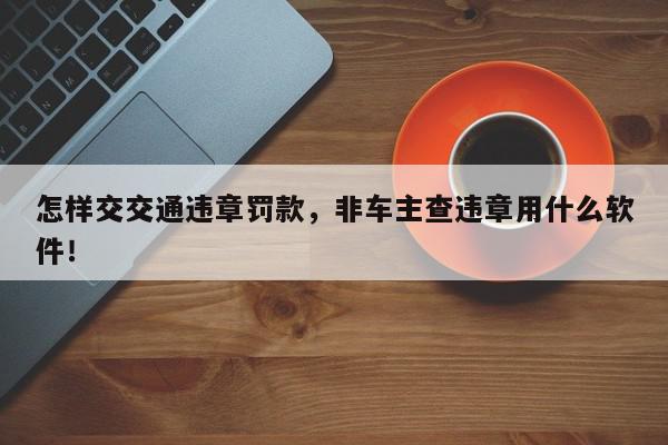 怎样交交通违章罚款，非车主查违章用什么软件！-第1张图片-我家生活百科