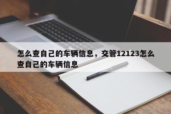 怎么查自己的车辆信息，交管12123怎么查自己的车辆信息-第1张图片-我家生活百科