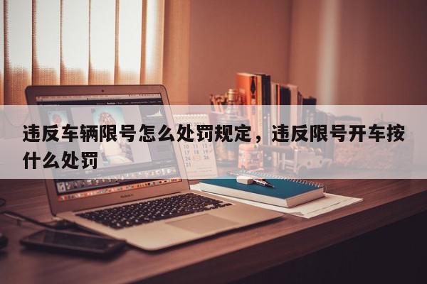 违反车辆限号怎么处罚规定，违反限号开车按什么处罚-第1张图片-我家生活百科