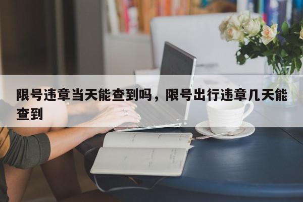 限号违章当天能查到吗，限号出行违章几天能查到-第1张图片-我家生活百科