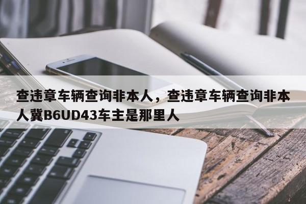 查违章车辆查询非本人，查违章车辆查询非本人冀B6UD43车主是那里人-第1张图片-我家生活百科