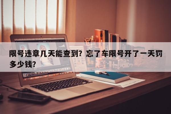 限号违章几天能查到？忘了车限号开了一天罚多少钱？-第1张图片-我家生活百科