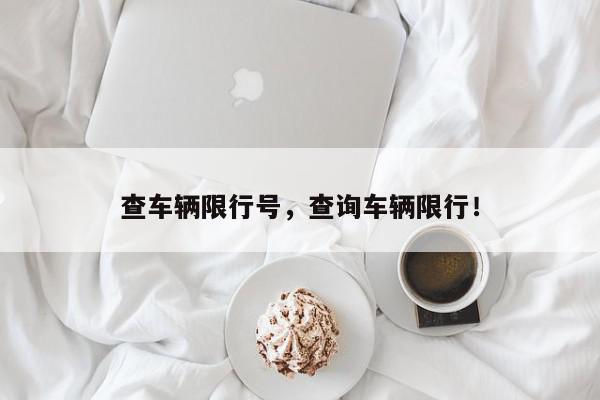查车辆限行号，查询车辆限行！-第1张图片-我家生活百科