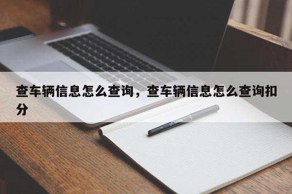查车辆信息怎么查询，查车辆信息怎么查询扣分-第1张图片-我家生活百科