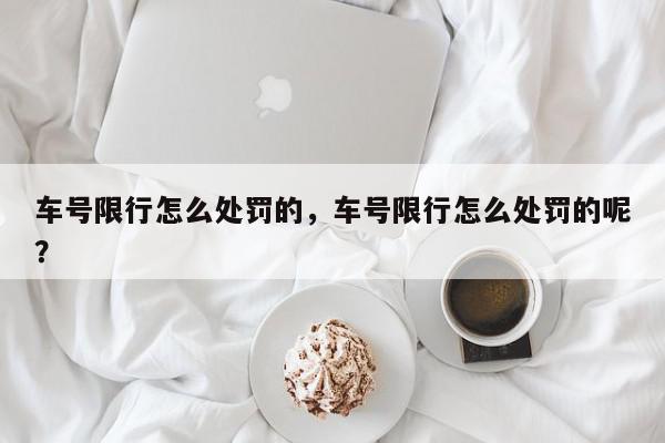 车号限行怎么处罚的，车号限行怎么处罚的呢？-第1张图片-我家生活百科