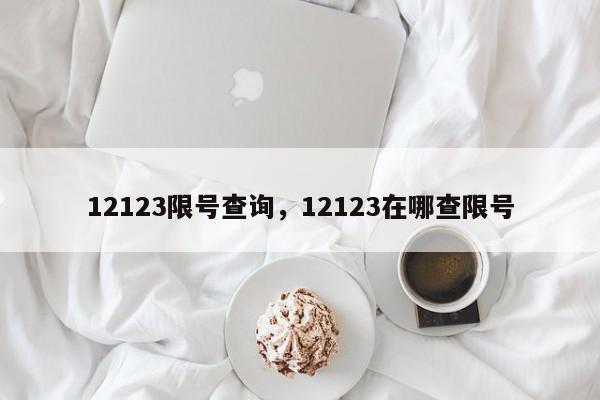 12123限号查询，12123在哪查限号-第1张图片-我家生活百科