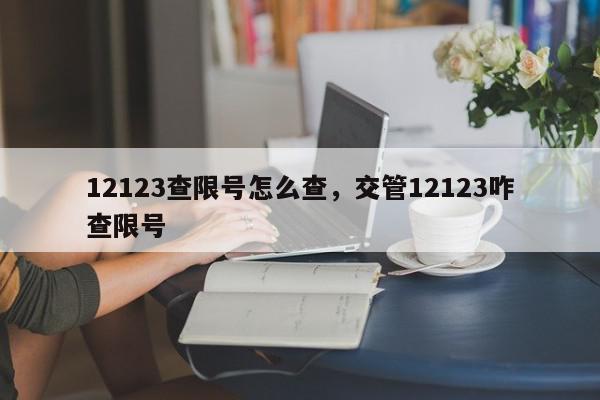12123查限号怎么查，交管12123咋查限号-第1张图片-我家生活百科