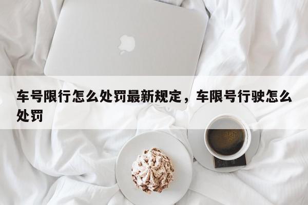 车号限行怎么处罚最新规定，车限号行驶怎么处罚-第1张图片-我家生活百科