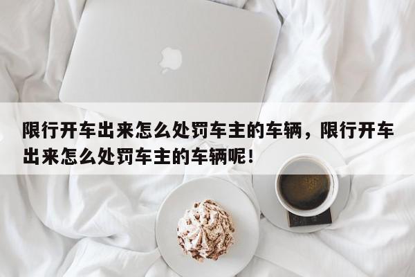 限行开车出来怎么处罚车主的车辆，限行开车出来怎么处罚车主的车辆呢！-第1张图片-我家生活百科