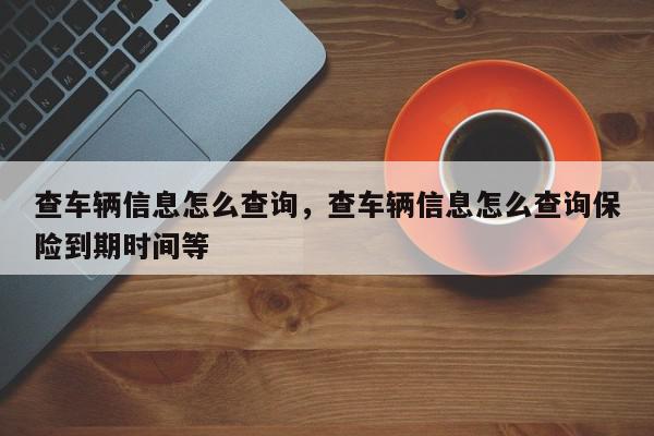 查车辆信息怎么查询，查车辆信息怎么查询保险到期时间等-第1张图片-我家生活百科