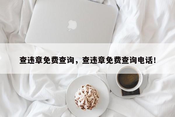 查违章免费查询，查违章免费查询电话！-第1张图片-我家生活百科