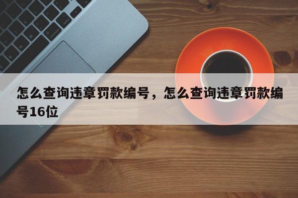 怎么查询违章罚款编号，怎么查询违章罚款编号16位-第1张图片-我家生活百科
