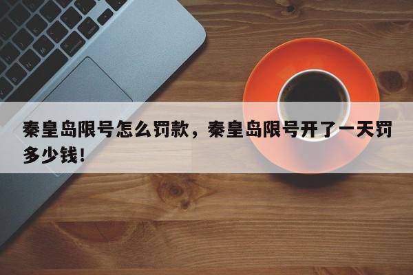 秦皇岛限号怎么罚款，秦皇岛限号开了一天罚多少钱！-第1张图片-我家生活百科