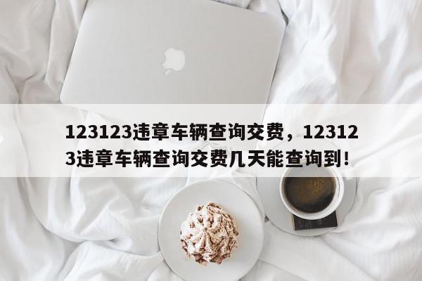 123123违章车辆查询交费，123123违章车辆查询交费几天能查询到！-第1张图片-我家生活百科