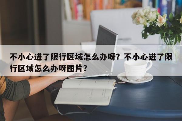 不小心进了限行区域怎么办呀？不小心进了限行区域怎么办呀图片？-第1张图片-我家生活百科