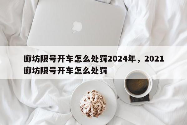 廊坊限号开车怎么处罚2024年，2021廊坊限号开车怎么处罚-第1张图片-我家生活百科