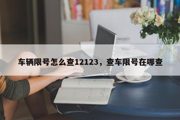 车辆限号怎么查12123，查车限号在哪查-第1张图片-我家生活百科