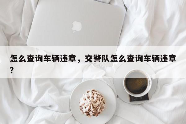 怎么查询车辆违章，交警队怎么查询车辆违章？-第1张图片-我家生活百科
