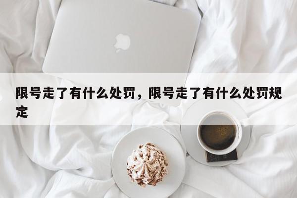 限号走了有什么处罚，限号走了有什么处罚规定-第1张图片-我家生活百科