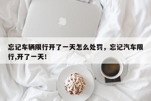 忘记车辆限行开了一天怎么处罚，忘记汽车限行,开了一天！-第1张图片-我家生活百科