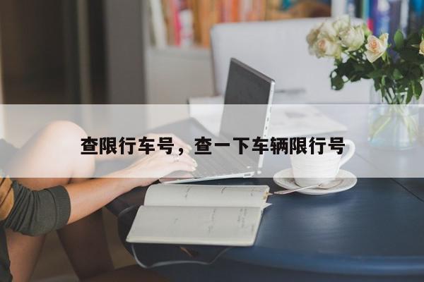 查限行车号，查一下车辆限行号-第1张图片-我家生活百科
