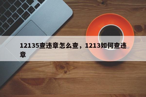 12135查违章怎么查，1213如何查违章-第1张图片-我家生活百科