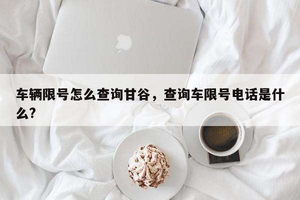 车辆限号怎么查询甘谷，查询车限号电话是什么?-第1张图片-我家生活百科