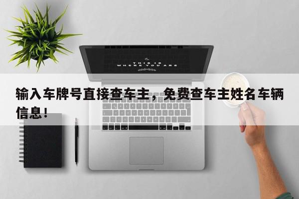 输入车牌号直接查车主，免费查车主姓名车辆信息！-第1张图片-我家生活百科