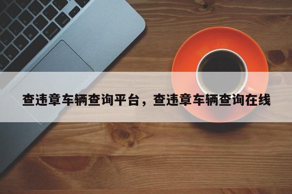 查违章车辆查询平台，查违章车辆查询在线-第1张图片-我家生活百科