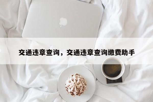 交通违章查询，交通违章查询缴费助手-第1张图片-我家生活百科