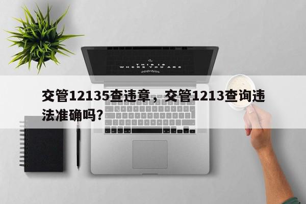 交管12135查违章，交管1213查询违法准确吗？-第1张图片-我家生活百科