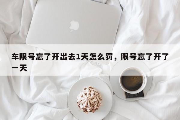 车限号忘了开出去1天怎么罚，限号忘了开了一天-第1张图片-我家生活百科