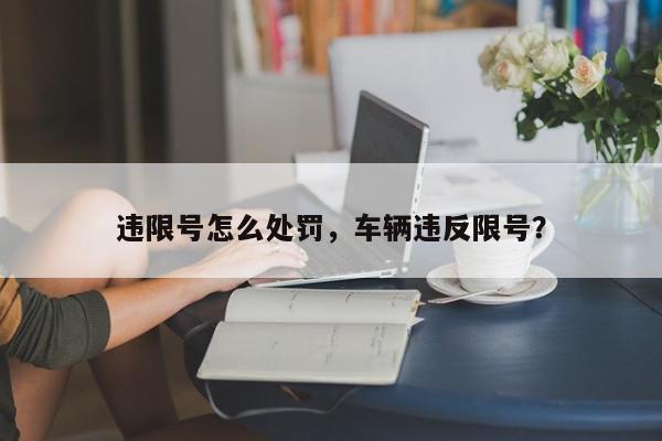 违限号怎么处罚，车辆违反限号？-第1张图片-我家生活百科
