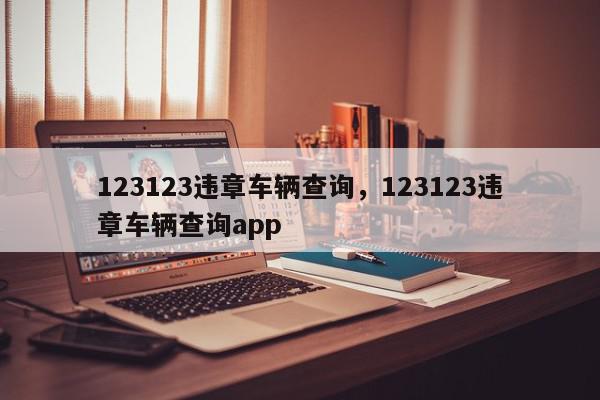 123123违章车辆查询，123123违章车辆查询app-第1张图片-我家生活百科